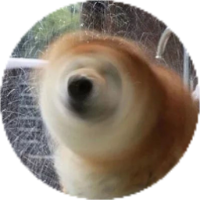 彬红茶